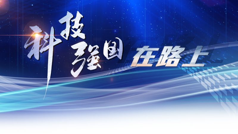 构建数据治理基石：案例库使用指南详解**